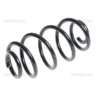 Triscan Feder hinten Chevrolet Aveo 1,3