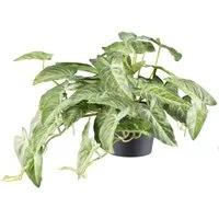 Kunstpflanze Alocasia, Creativ green, Höhe 40 cm, mit naturgetreuem Blattwerk