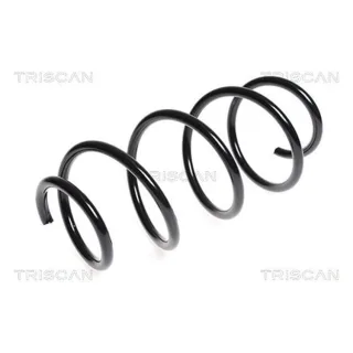Triscan Feder vorne Mercedes C-Klasse W204 E-Klasse 875023138