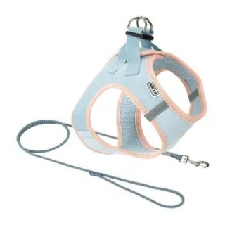 AniOne Pepe&Kitty Welpenset blau XXXS