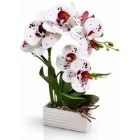 Kunstorchidee PASCH® Orchidee künstlich wie echt in Hochglanz-Keramiktopf Orchidee, PASCH, Hochglanz Keramiktopf