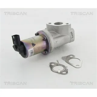 Triscan AGR-Ventil Hyundai I20 I30 Ix20 Kia Ceed Pro Soul Venga