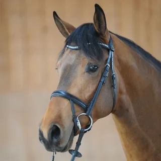 Trense "Diana" KavalSH4 - schwarz