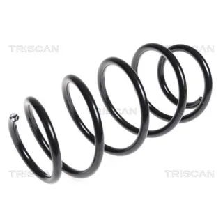 Triscan Feder vorne Nissan Qashqai 1 87501495