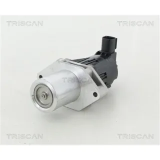 Triscan AGR-Ventil Opel Antara Cascada Insignia Zafira 2,0