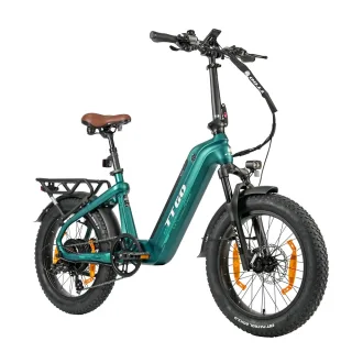 [EU DIRECT] TTGO F8 Electric Bike 48V 18AH 250W Torque Sensor 25km/h Max Speed 20 Inch Carbon Fiber Electric Bicycle for