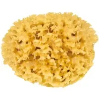 Croll & Denecke Hautpflegeschwamm M 150, Badeschwamm, Mittemeerschwamm Ø 15 cm