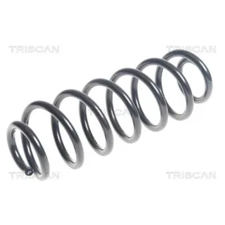 Triscan Feder hinten Citroen C4 Ds4 875028242