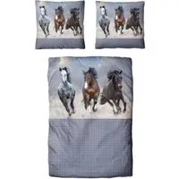 Traumschloss Bettwäsche TS Edition, Renforcé, 2 teilig, Pferde Trio
