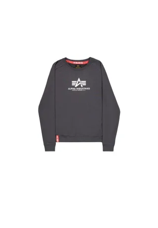 New Basic Big Logo Sweatshirt Women