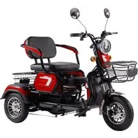 ENEWAY Elektromobil Bari, 500,00 W, 6,00 km/h, (Set, Fahrzeug mit Korb, Spiegel, Ladegerät), inklusive Körbe, mit leistungsfähigen Akkus