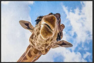 Fussmatte Giraffe 4817 | Größe: 60 cm x 45 cm