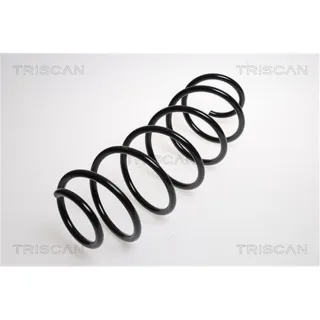 Triscan Feder vorne Citroen C3 87502898