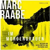 Hörbuch Hamburg Hörspiel Im Morgengrauen (Art Mayer-Serie 4)