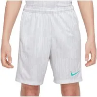 Nike Sporthose Nike Performance Academy Plus Short Kids Academy