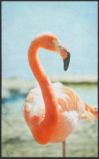 Fussmatte Flamingo 7780 | Größe: 60 cm x 90 cm