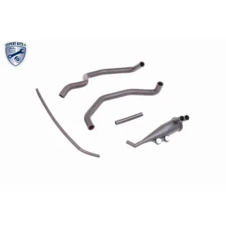 Vaico Reparatursatz f?r Kurbelgeh?use BMW X5 E53 V20-0004