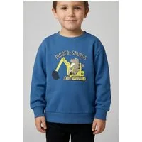 Name It Sweatshirt NMMVILDAR LS NREG SWEAT UNB