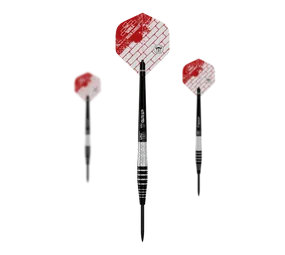 Bulls Martin Schindler Original Generation 3 Steeldarts