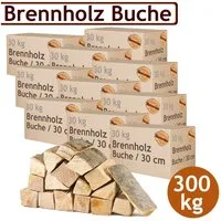 Flameup Kaminholz Brennholz Kaminholz Holz 5-500 kg Ofen Kamin Kaminofen Buche 30 cm, 300 kg