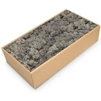 NaDeco Bastelnaturmaterial Islandmoos Anthrazit, konserviert, verpackt im Karton mit ca. 500g