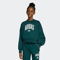 adidas Sportswear Sweatshirt SEASONALS ESSENTIALS COLLEGIATE TYPOGRAPHY CREWNECK KIDS sportlicher Stil, ohne Verschluss, mit Rundhalsausschnitt
