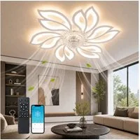 Nettlife Deckenventilator Licht und Fernbedienung Schwarz/Weiß 48/71W 3 Farbtemperatur 6-Gang, Wohnzimmer Esszimmer Schlafzimmer 66 x 66 x 14 cm