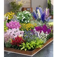 BALDUR Garten Beetpflanze 12er Buntes Staudenbeet 'Multi-Colour', 12 St., wuchsfreudig, winterhart, mehrjährig, pflegeleicht