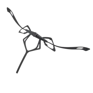 SALEWA - Aria Adjustment System - Schwarz (Gr.UNI)