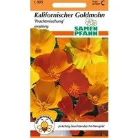 SAMEN PFANN Blumensamen Mohn, Kalifornischer Goldmohn, Prachtmischung - Mohn-Samen Saatgut, Eschscholzia californica