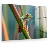 MuchoWow Acrylglasbild Bunter Frosch - Grüner Stiel - Alert, Inkl. Aufhängung, Glasbilder Wohnzimmer, Schlafzimmer, Flur & Esszimmer, 30x20 cm