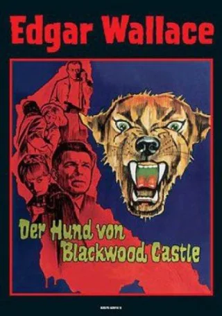 Der Hund von Blackwood Castle