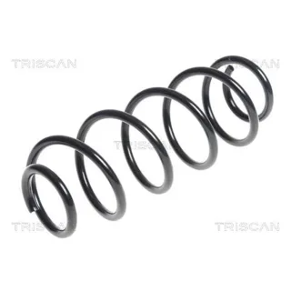 Triscan Feder hinten Seat Mii Skoda Citigo VW Up! 875029341