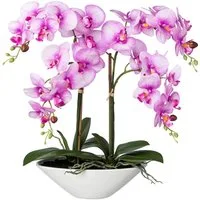 Kunstorchidee Deko-Orchidee Phalaenopsis in Keramikschale Orchidee Phalenopsis, Creativ green, Höhe 53 cm