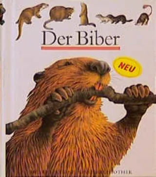 Der Biber [Gebundene Ausgabe] [2007] Perols Sylvaine