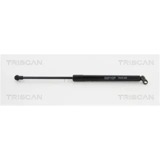 Triscan Gasfeder Mercedes S-Klasse W220