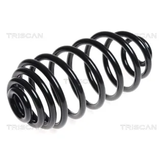 Triscan Feder hinten Renault Kangoo 87502591