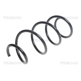 Triscan Feder vorne Suzuki Swift 4 87506960