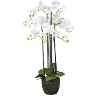Kunstorchidee Orchidee Phalaenopsis, Creativ green, Höhe 93 cm, im Erdballen und mit real-touch-Blüten