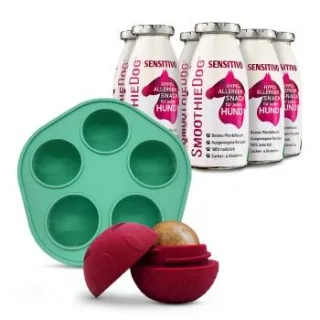 SmoothieDog Sensitivo (Pferd) 6x 250 ml + Schleckball 1 Stück