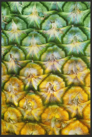 Fussmatte Ananas 10205 | Größe: 60 cm x 90 cm