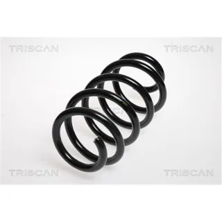 Triscan Feder hinten Dacia Logan Renault Logan