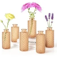 Youyijia Tischvase 6er Set Glasvasen Klein – Vintage Blumenvasen für Tischdeko