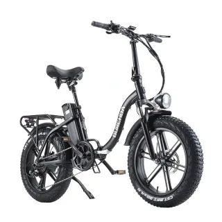 [EU DIRECT] BURCHDA R8WS Electric Bike 48V 20AH Battery 800W Motor Recommended Top Speed 25KM/H 20x4.0inch Tires 80-90KM
