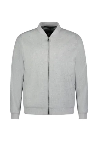 ROY ROBSON - Sportswear 13919-96 0-96-13919-12118-00 light grey - Gr. - L