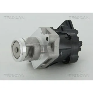 Triscan AGR-Ventil Chevrolet Opel Saab 2,0