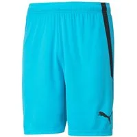 PUMA Trainingsshorts Puma Herren Shorts teamLIGA Shorts 704924