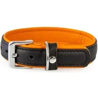 Das Lederband Hunde-Halsband Hundehalsband Denver schwarz/cognac