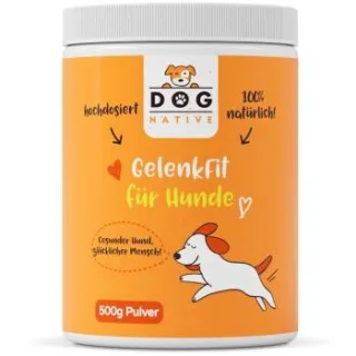 Dog-Native GelenkFit für Hunde, natürliches Gelenkpulver, Gelenk Fit Pulver mit Grünlippmuschel, MSM, Kollagen & Chondroitin für Gelenke & Knochen 500 g