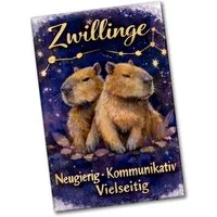 speecheese Magnet Zwilling Sternzeichen Cabybara Souvenir Magnet für Astrologie Fans
